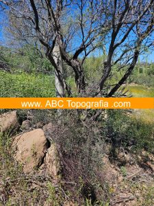 4.Levantamiento Topográfico en Mulegé Baja California Sur TC-2308-1D