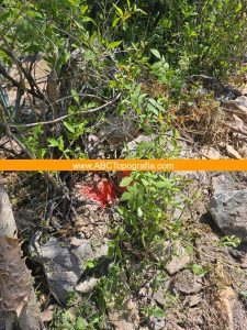 6Levantamiento topográfico en Morelos TC-2705-D1