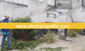 LEV TOP CDMX 1 TC-2209-J4