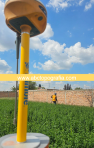 LEV TOP ZACA 4 TC-2809-J2